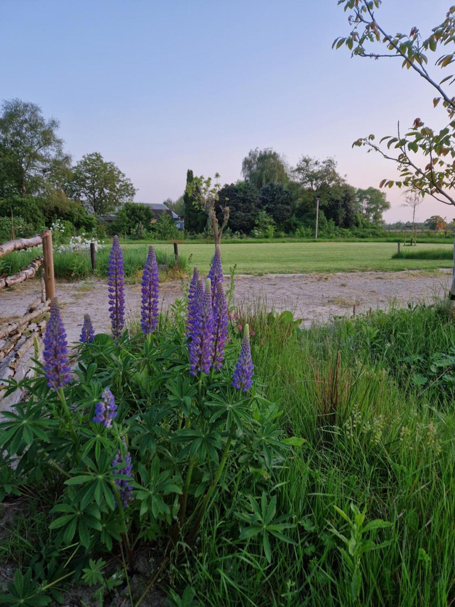 De Wilde Tuin - Tuinkamer Moergestel ภายนอก รูปภาพ