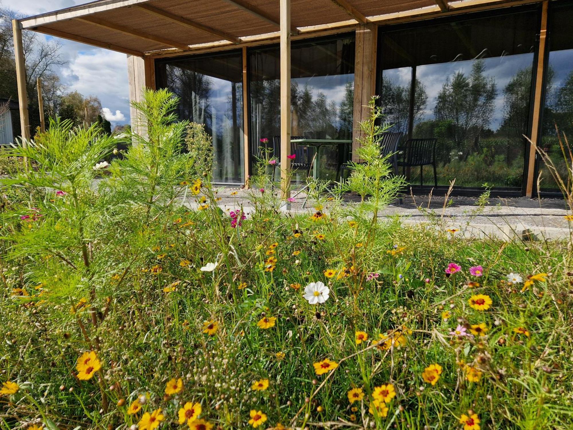 De Wilde Tuin - Tuinkamer Moergestel ภายนอก รูปภาพ